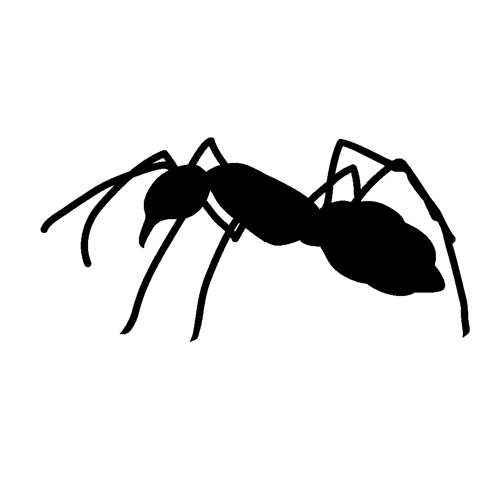 三洋環境社プランナー・アリ駆除