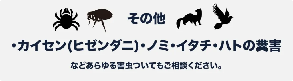 カイセン（ヒゼンダニ）・ノミ・イタチ・ハトの糞害

あらゆる害虫・害獣のお悩みについてご相談ください。