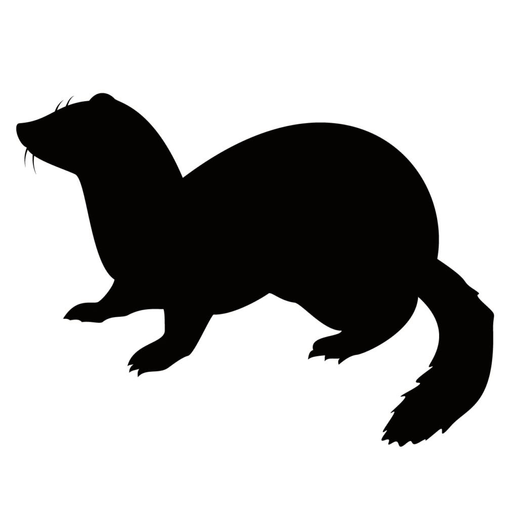 三洋環境社プランナー・イタチ等害獣駆除