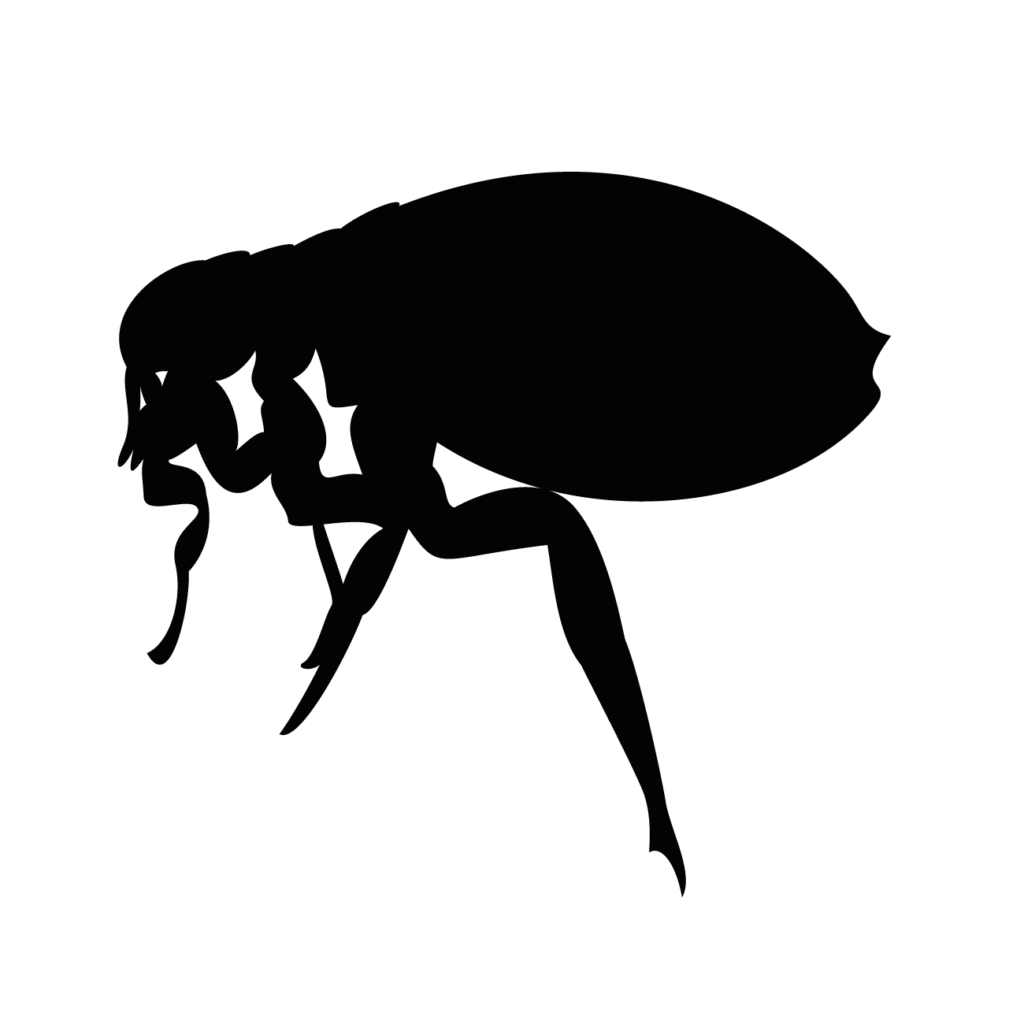 三洋環境社プランナー・ノミ駆除